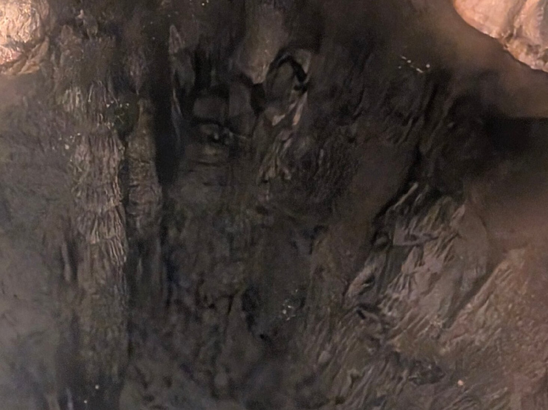 Cave Of Zeus-Anogia必去景点