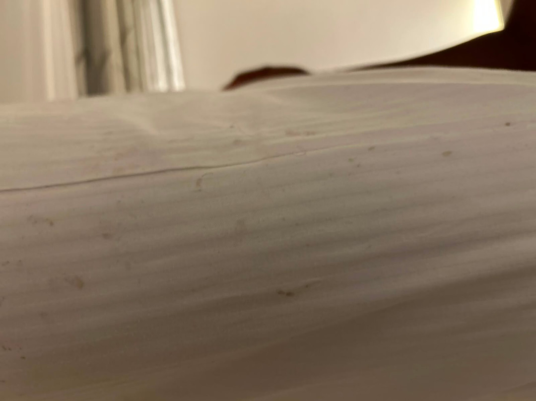伦敦希思罗机场5号航站楼希尔顿酒店主图