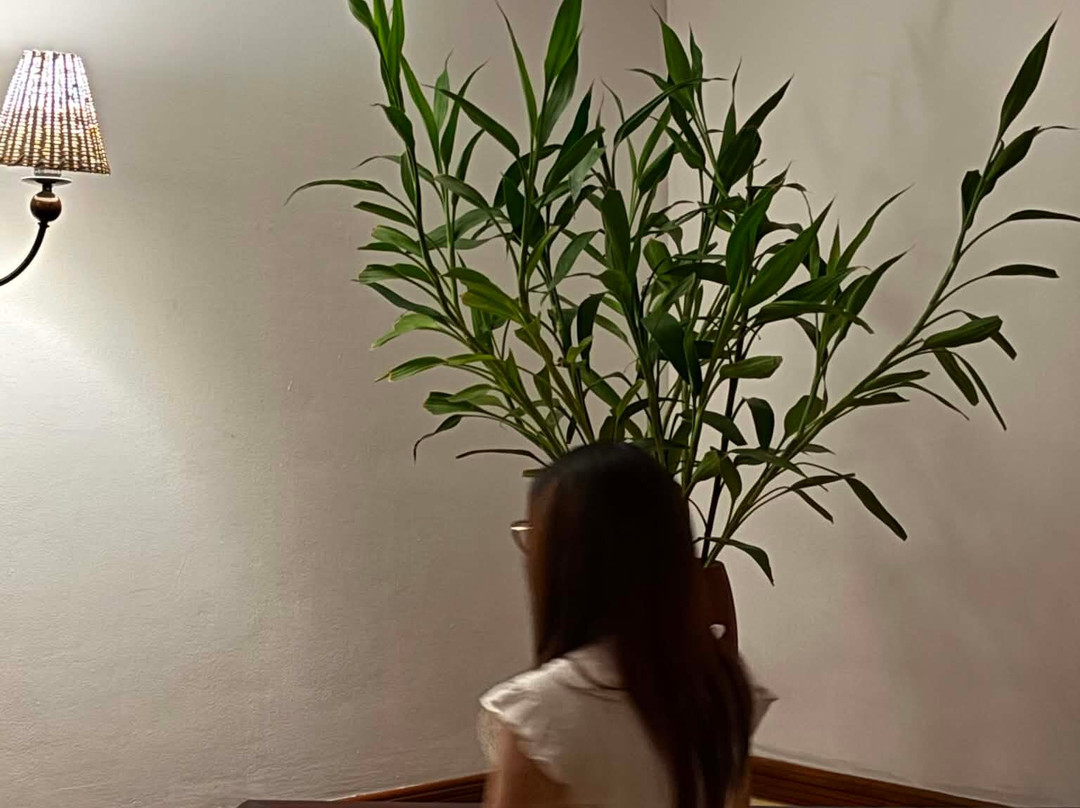 维多利亚芹苴度假村主图