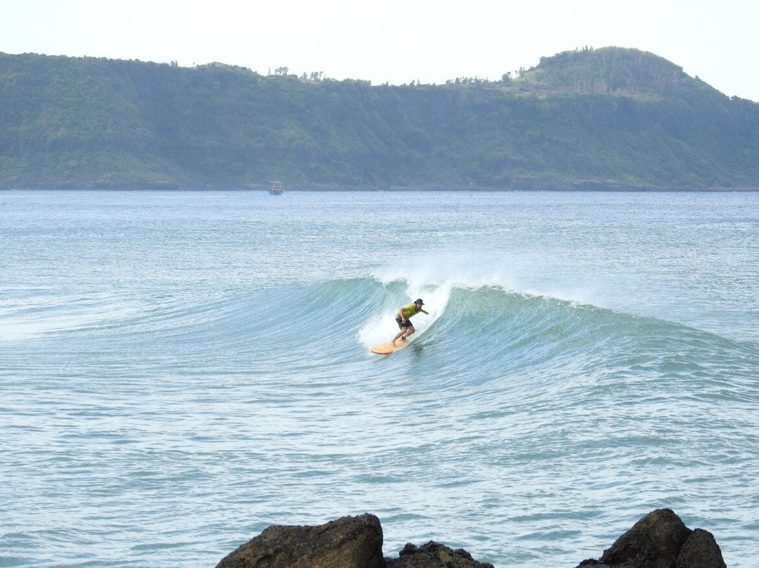 Surfing LIVE Surf School-芽庄必去景点