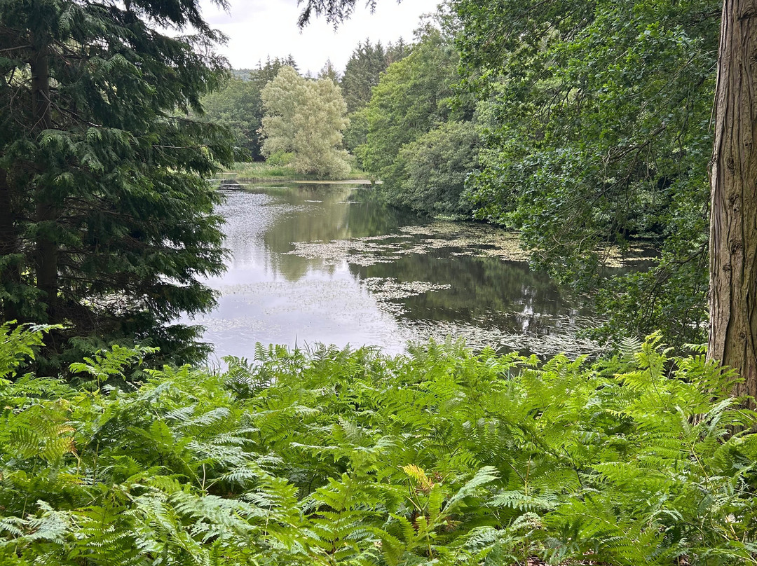 Chillingham Castle-阿尼克必去景点