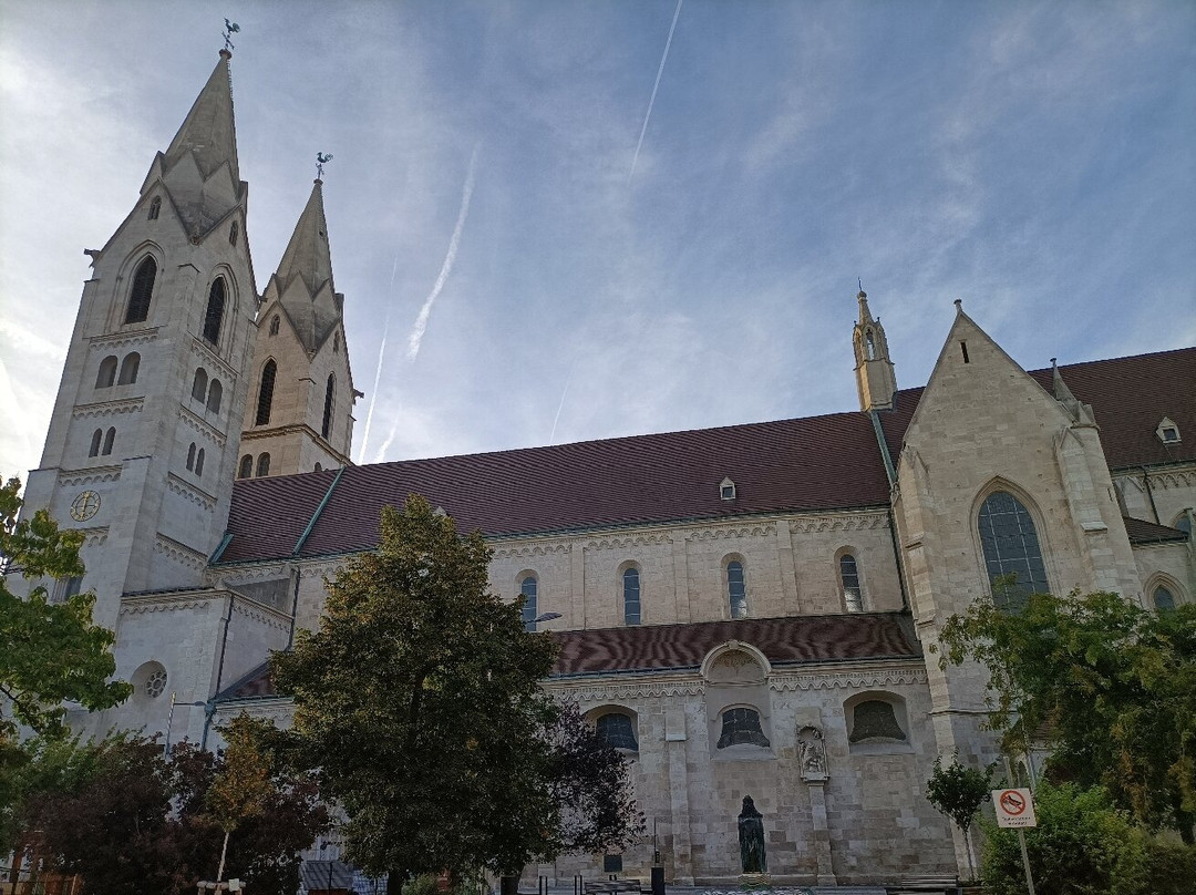 Dom Wiener Neustadt-维也纳新城必去景点