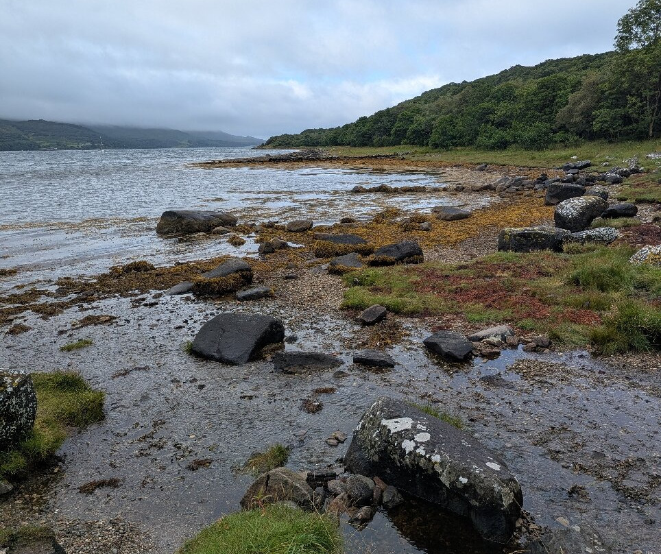 Taynish National Nature Reserve-Tayvallich必去景点