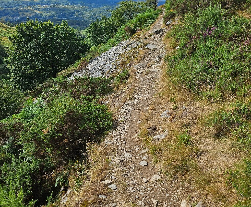 Precipice Walk-Dolgellau必去景点