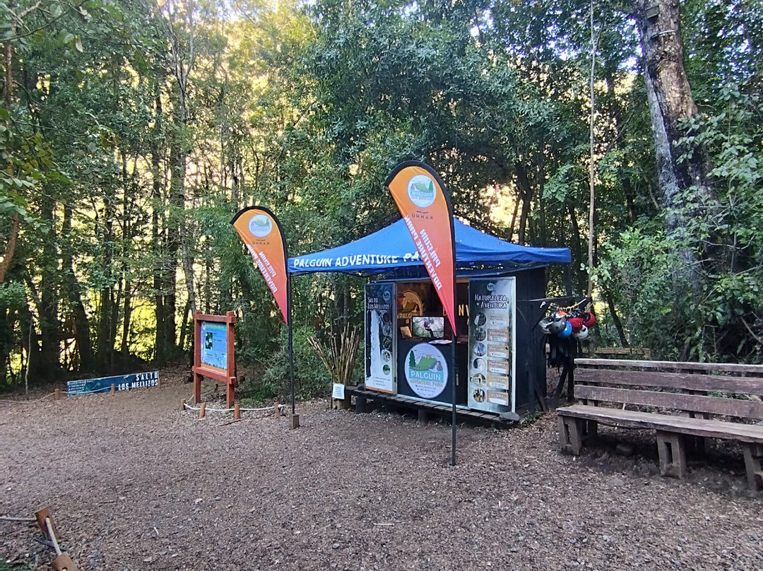 Salto los mellizos Palguin Adventure Park-Palguin必去景点