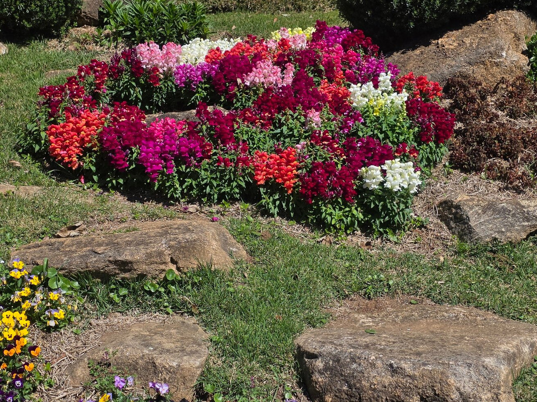 Amantikir Park-坎普斯－杜若尔当必去景点