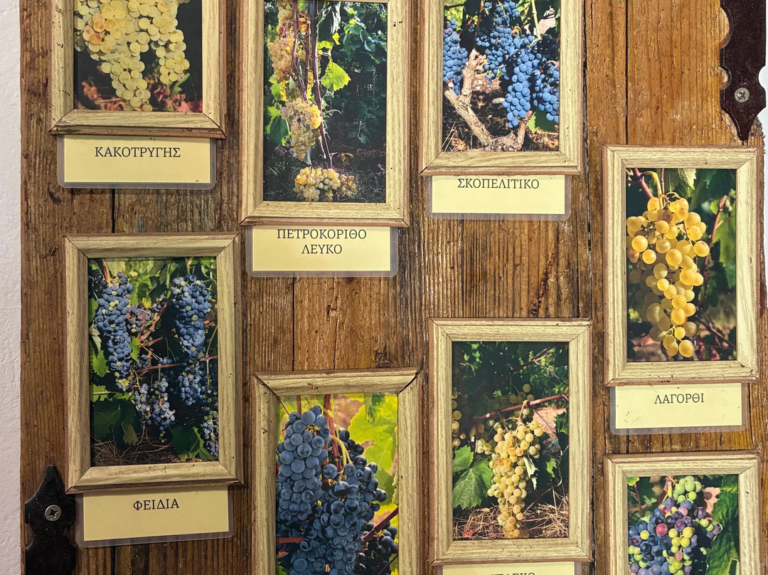 Winery Leivadiotis Corfu-Agios Matheos必去景点