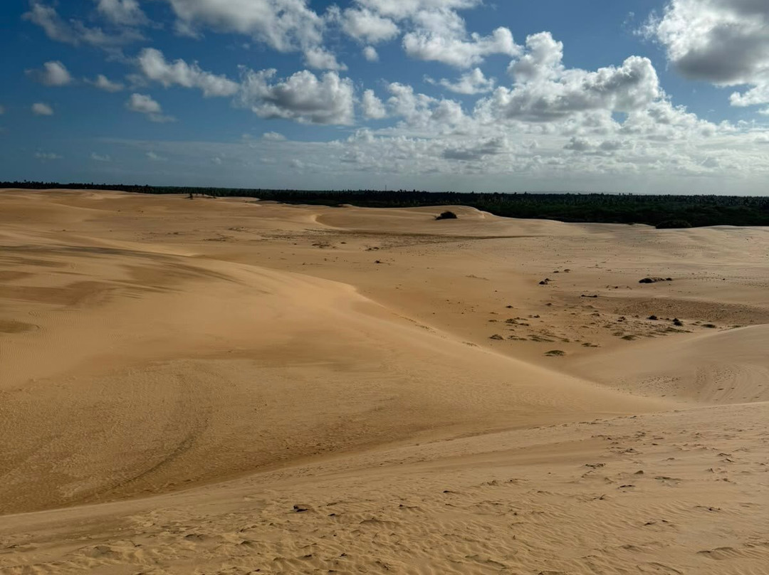Farol da Foz Ecoturismo-Piacabucu必去景点