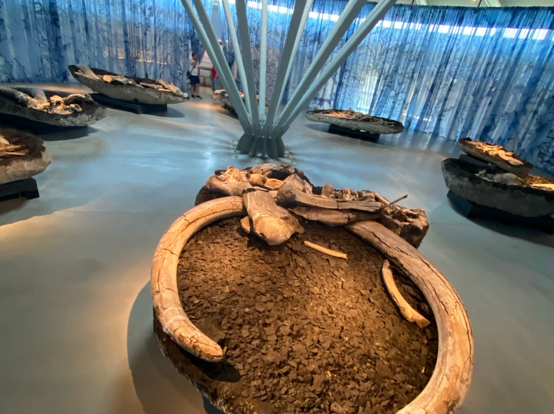 Museo Paleontologico "Luigi Boldrini"-Piegaro必去景点