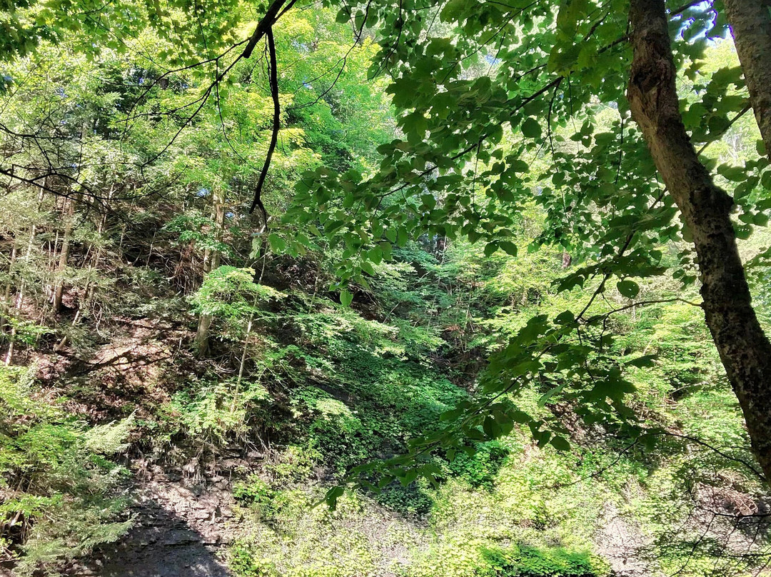 Asbury  Woods-伊利必去景点