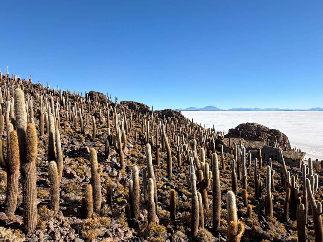 Go Atacama Experiences-圣佩德罗-德阿塔卡马必去景点