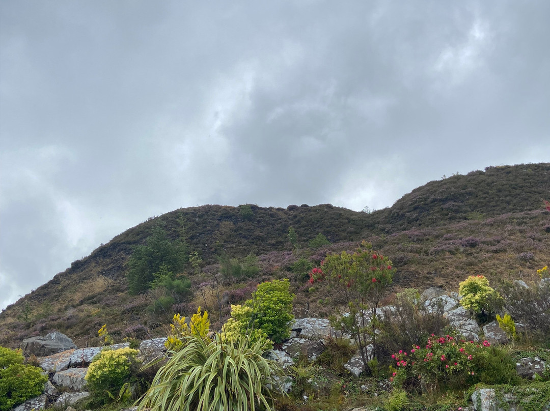 Arigna Mining Experience-Roscommon必去景点