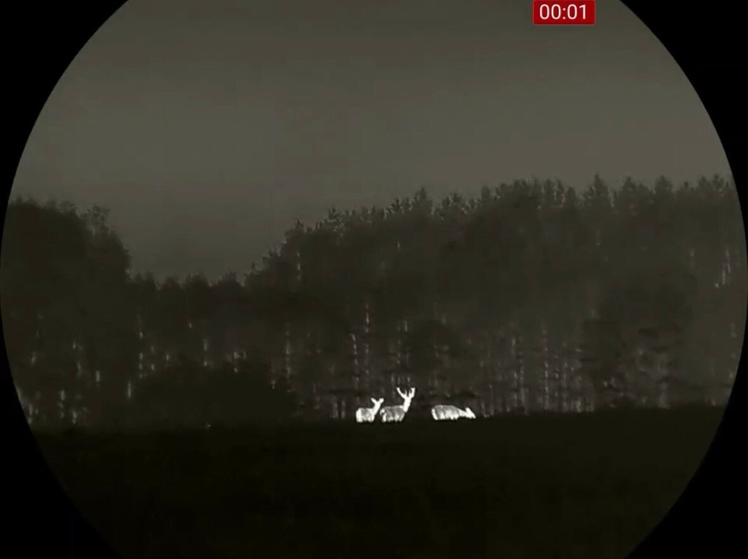 Soweczka Arek Szymura - Private Nature Tours-Bialowieza必去景点