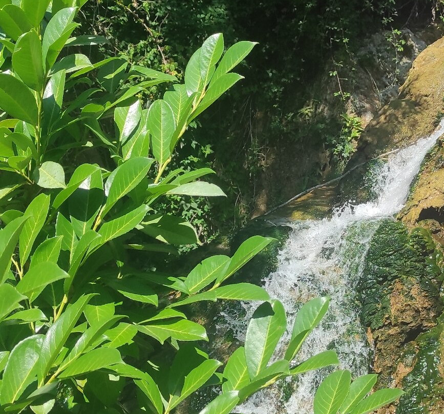 Cascade de Salles-la-Source-Salles-la-Source必去景点