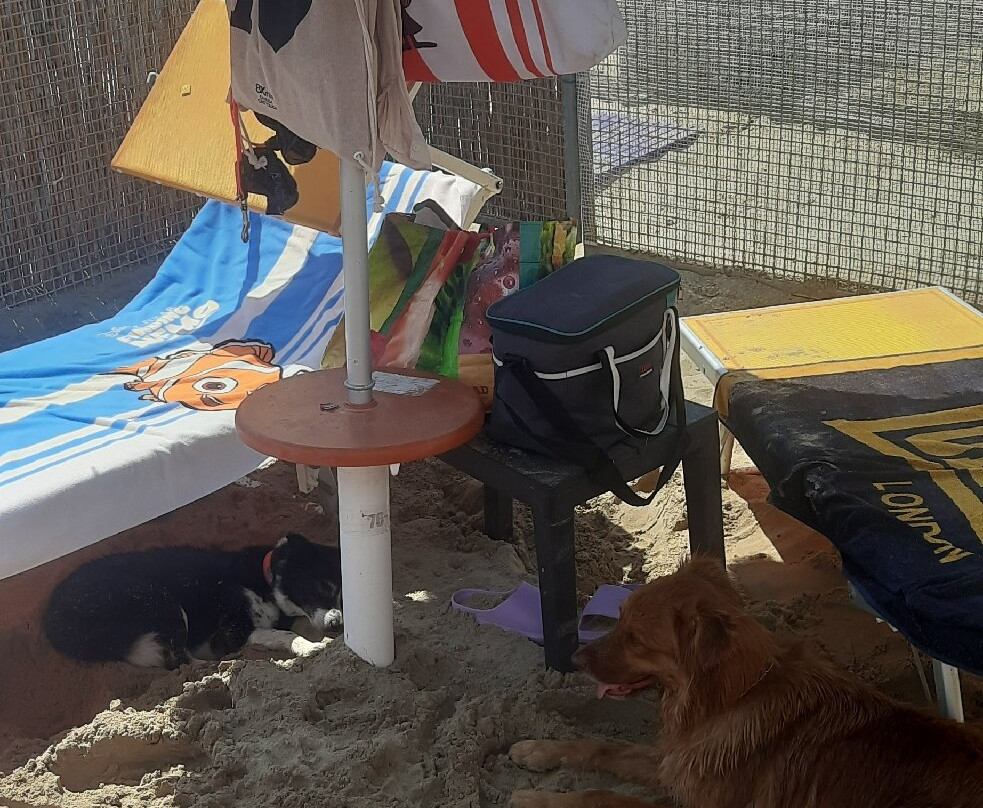 Scoobydoo Beach-Campomarino Lido必去景点