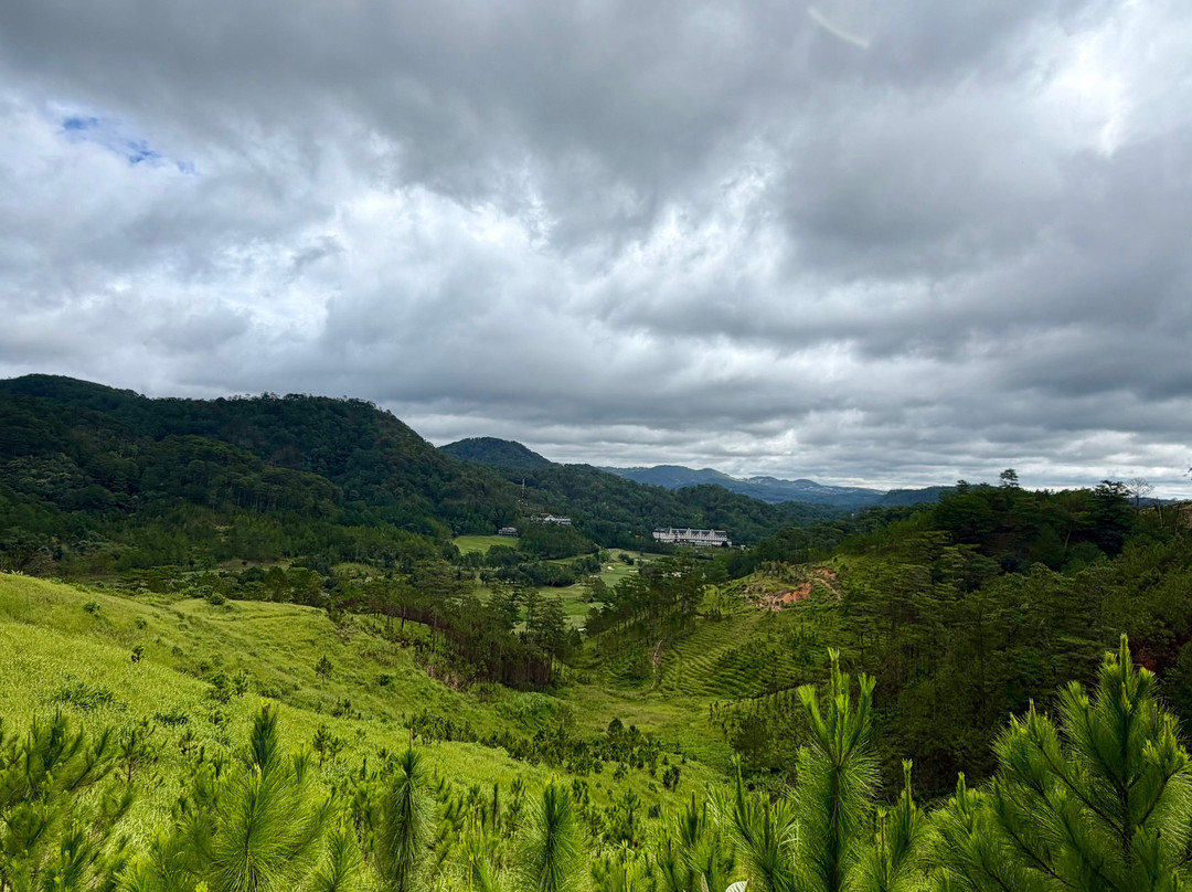 DaLat Day Tours-大勒必去景点