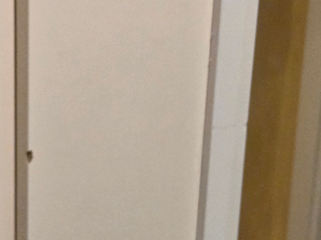 拉美齐亚大酒店主图