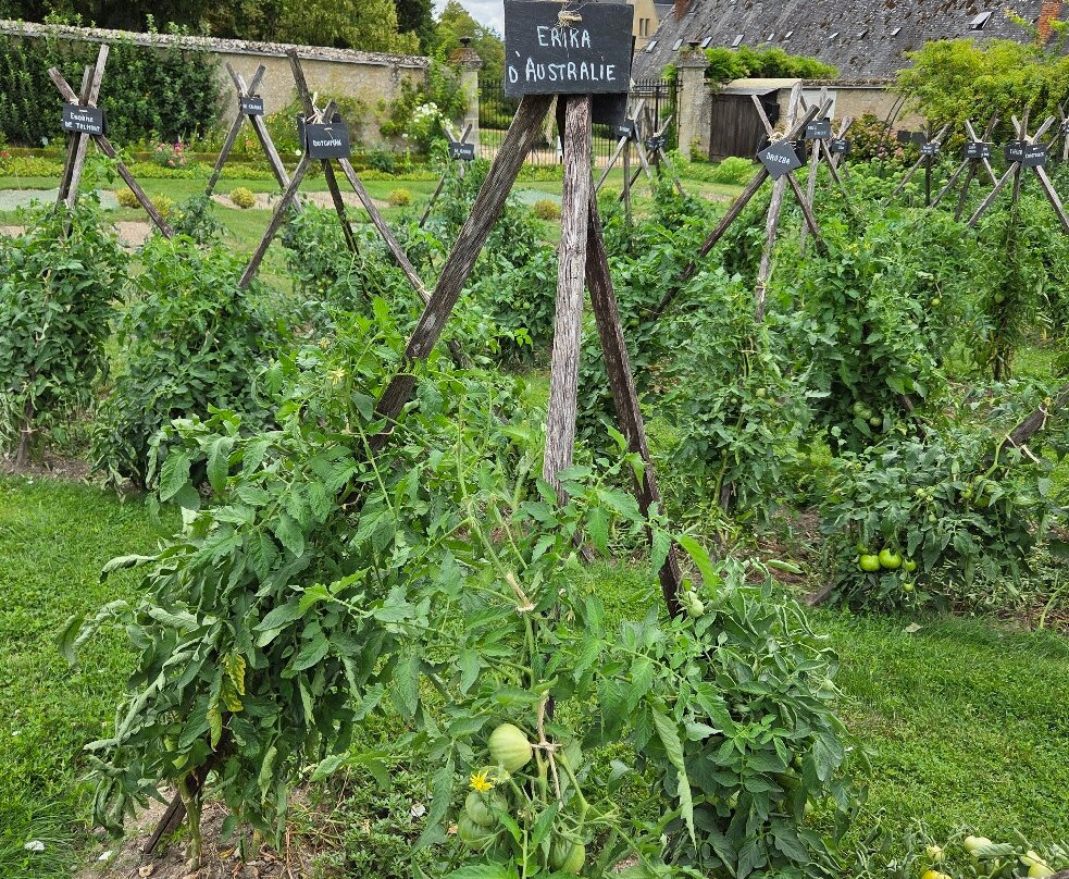 Gardens of the Chateau de la Bourdaisiere-卢瓦尔省蒙特路易必去景点