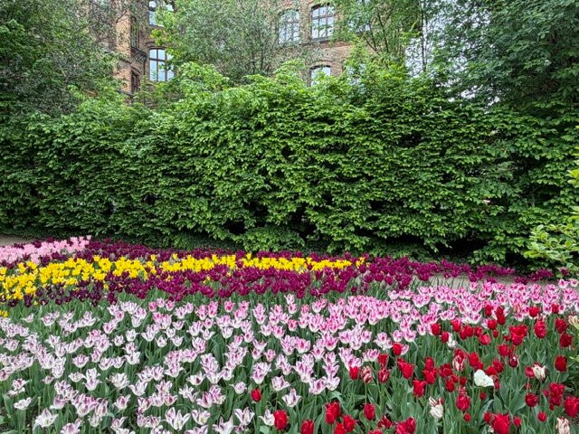 Botanical Garden of the University of Wrocław-弗罗茨瓦夫必去景点