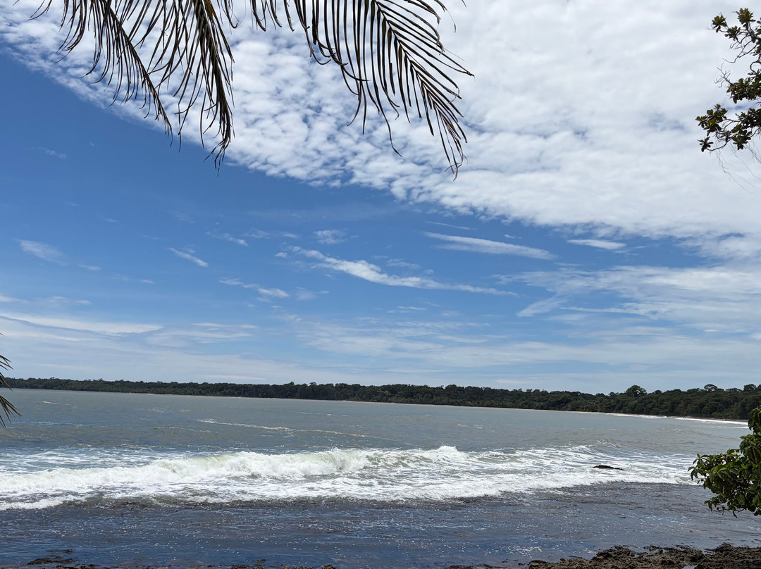 Cahuita Tours-卡维塔必去景点