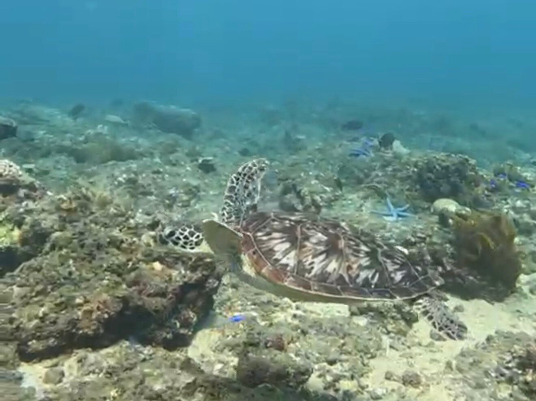 Amed Snorkeling Tour-艾湄湾必去景点