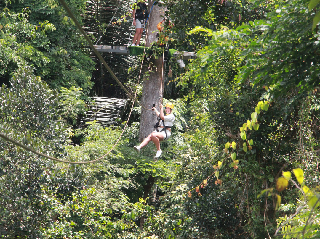 Hawk Adventure Zipline Park  Samui-红统必去景点