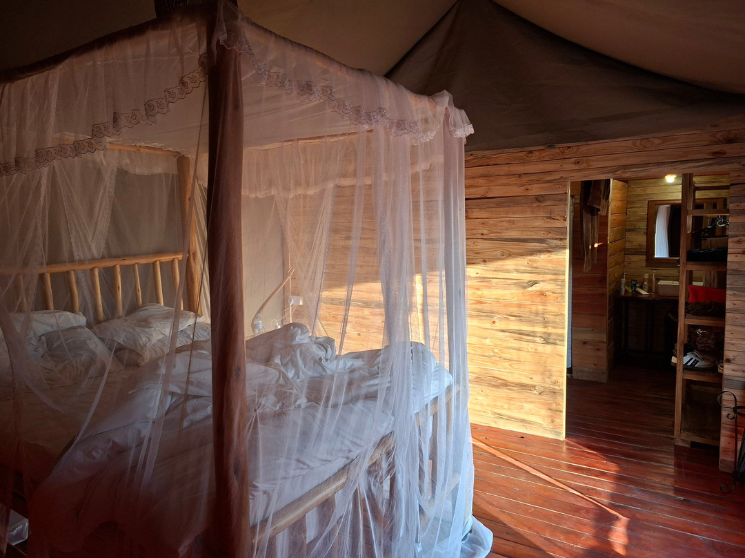OSOTUA TENTED CAMPS-Ikoma必去景点