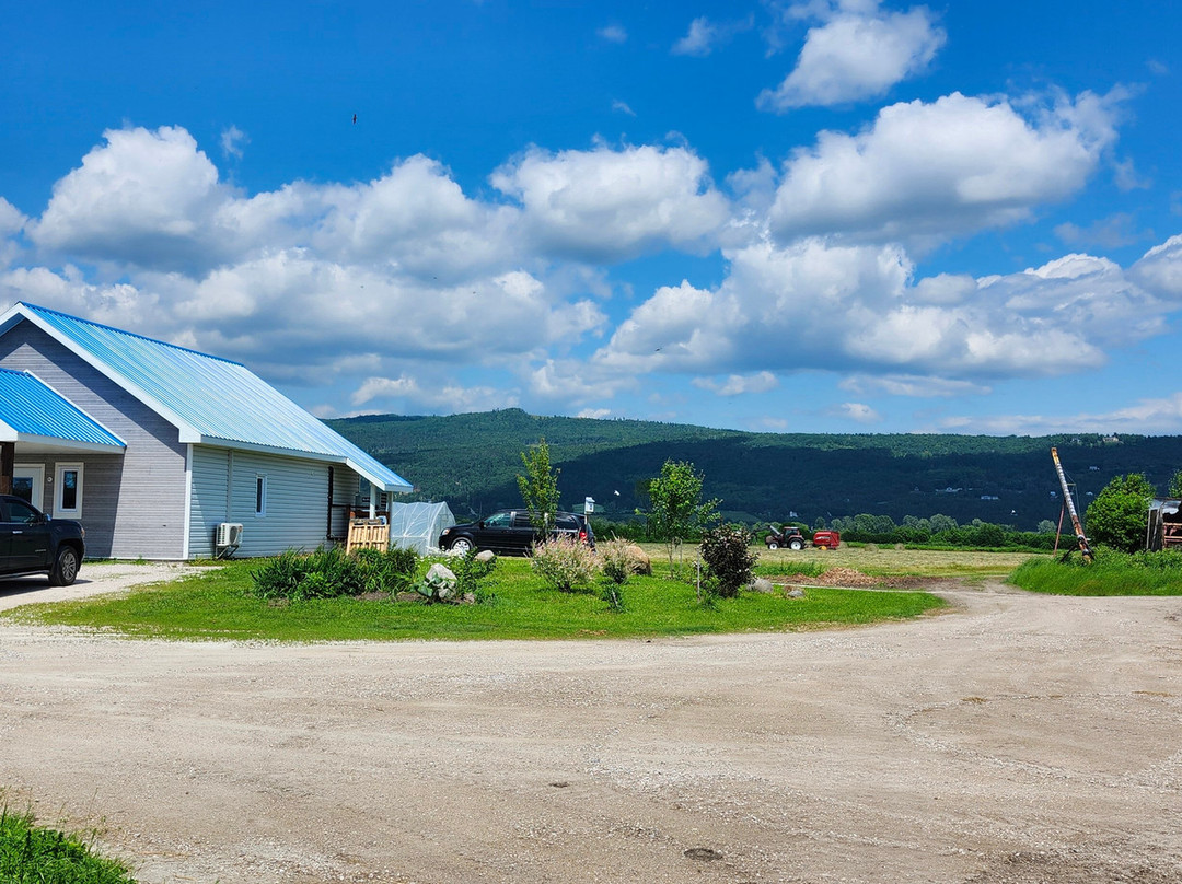 Ferme L'Oiseau Bleu-Baie-St-Paul必去景点