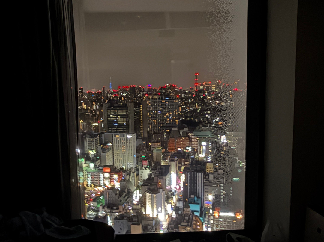 新宿宾乐雅环旅酒店主图