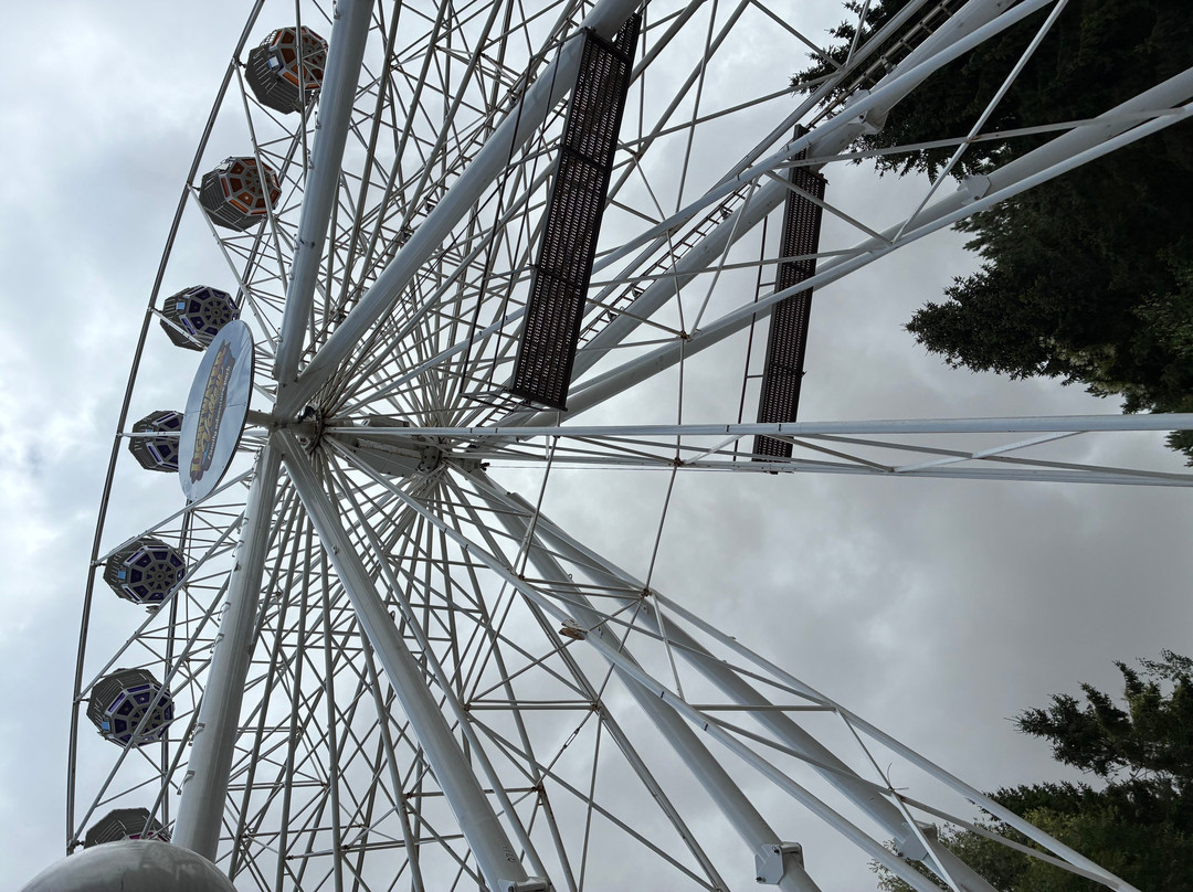 Lightwater Valley Family Adventure Park-North Stainley必去景点