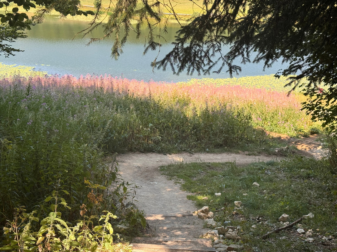 Randonnées Autour du Lac de Lamoura-Lamoura必去景点