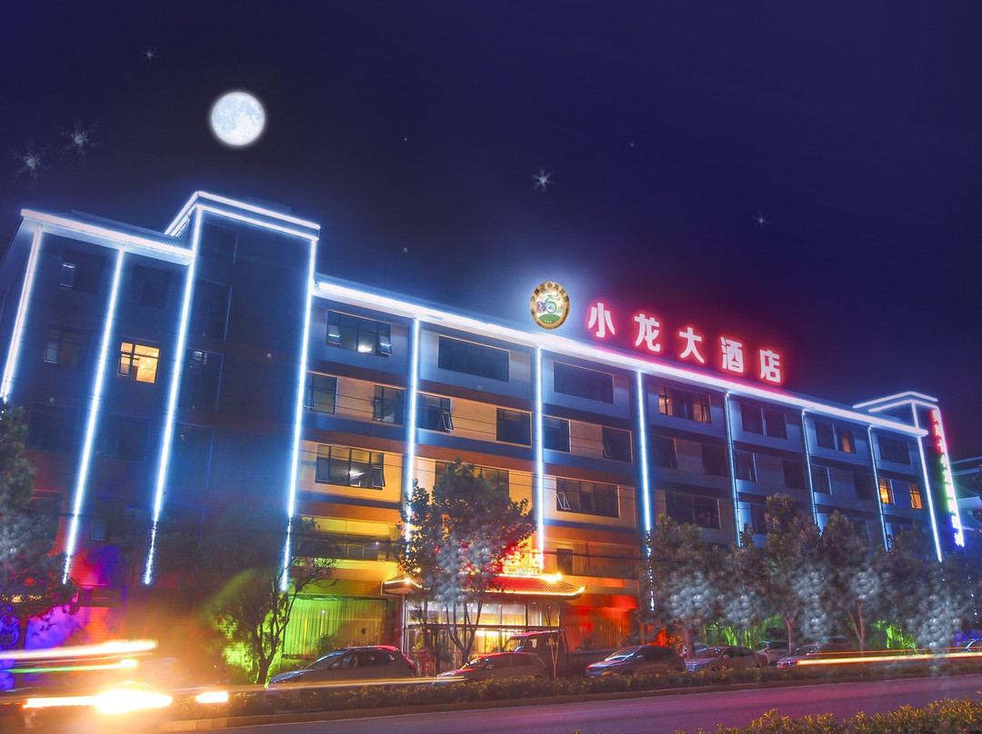 小龙大酒店