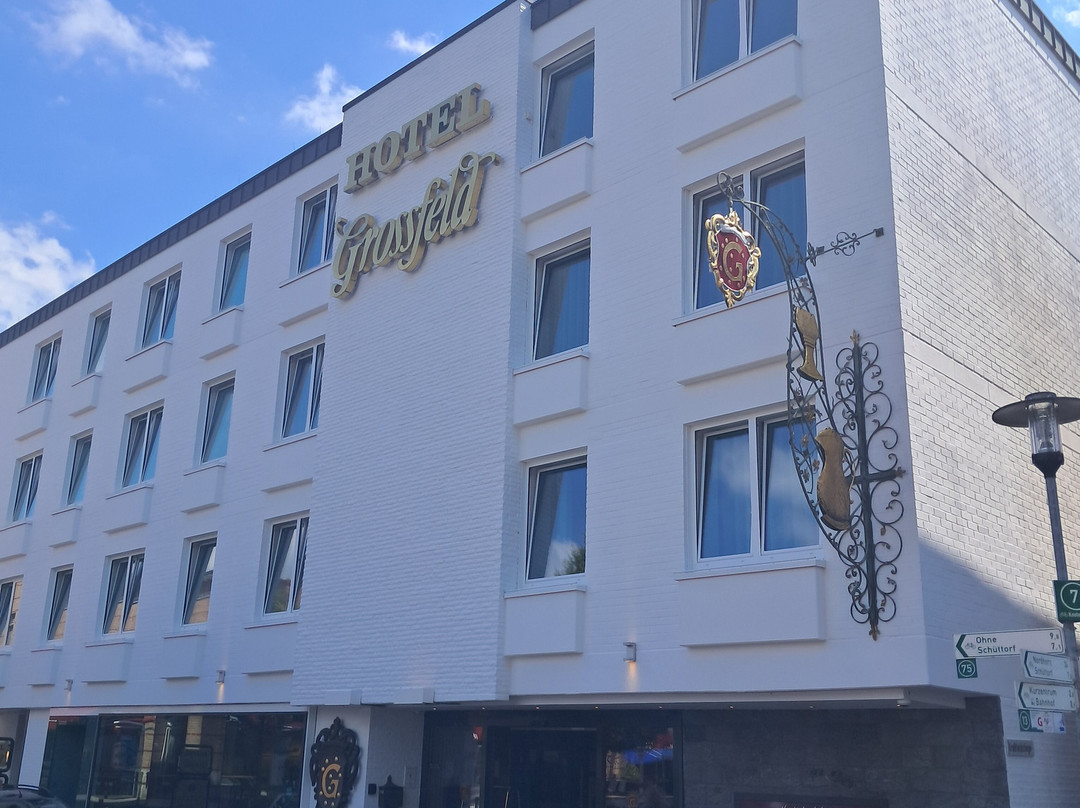 格罗斯菲尔德酒店主图