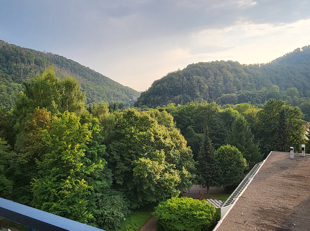 Appartement im Panoramic Hotel Bad Lauterberg主图