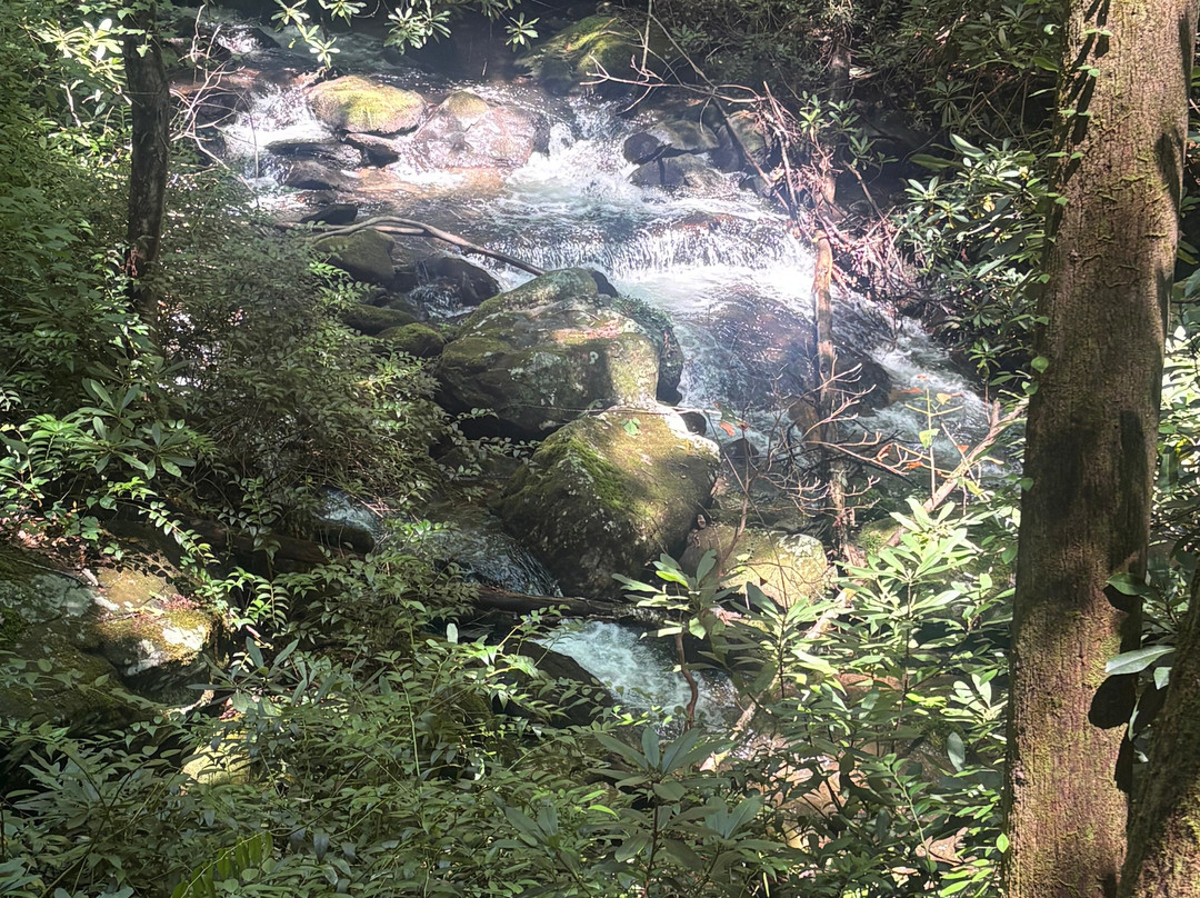 Anna Ruby Falls-海伦必去景点