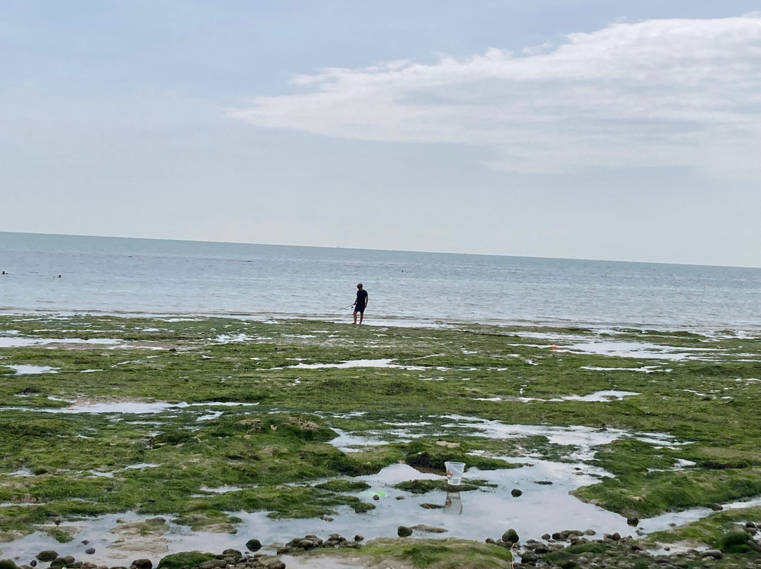 Holywell Retreat Beach-伊斯特本必去景点
