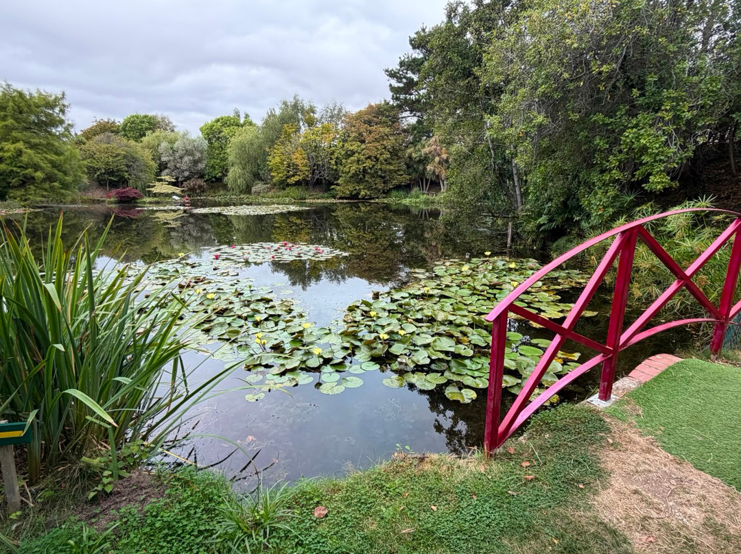 Bennetts Water Gardens-Chickerell必去景点