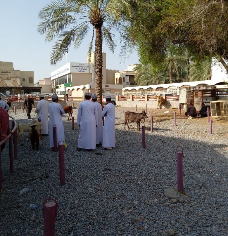 Nizwa Souq-尼日瓦必去景点