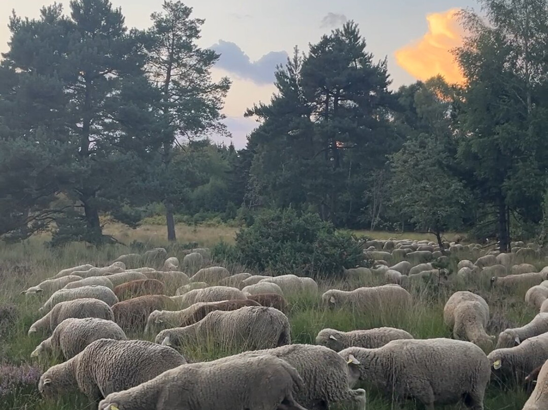 Gîte de séjour et d'étape LA FAGE