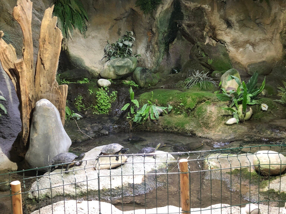 Aquarium De Touraine-Lussault-sur-Loire必去景点
