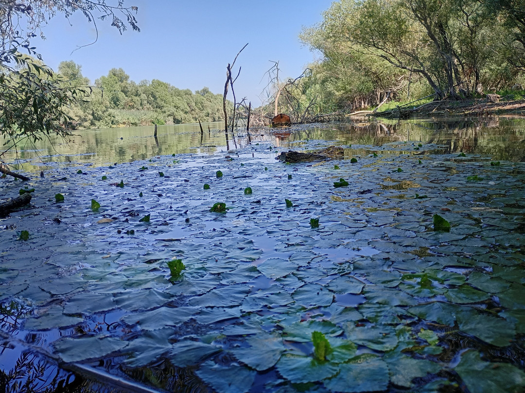 Skadar Lake Boat Cruising by Krsto-Vranjina必去景点