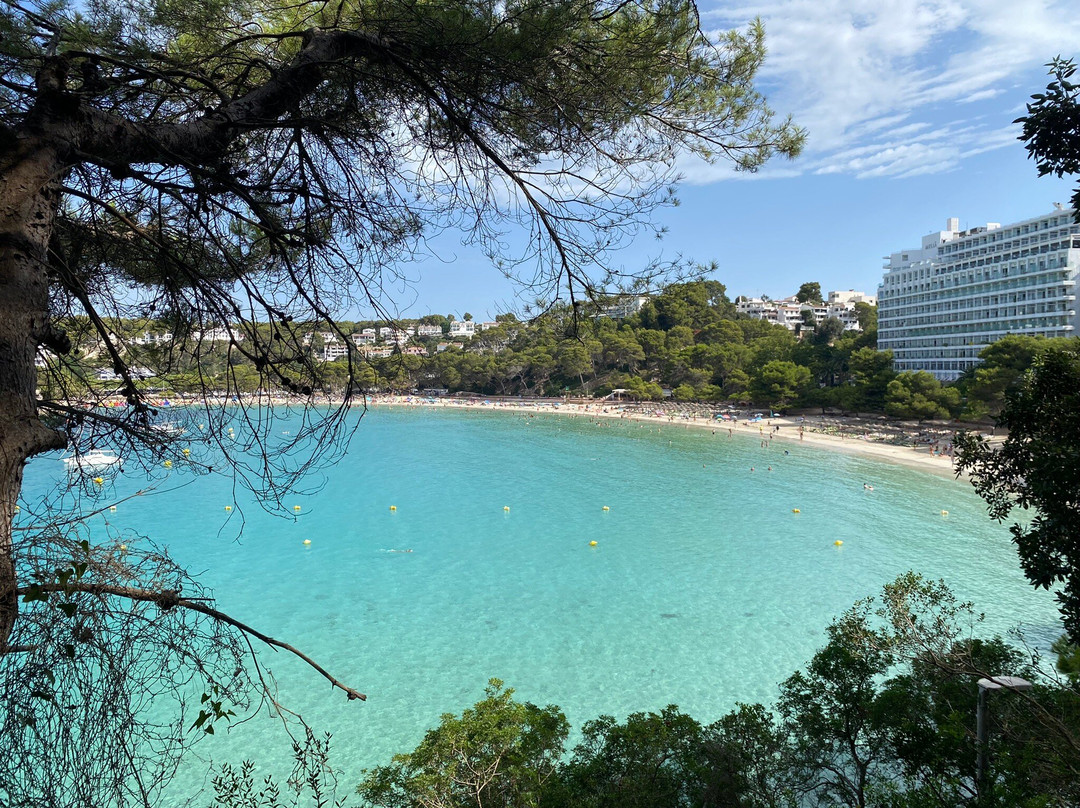 Cala Galdana Beach-Cala Galdana必去景点