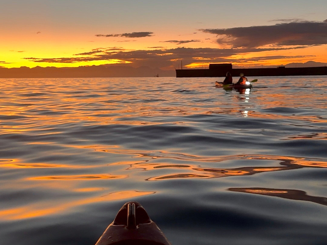 Paddle Experience: Kayak in Cape Town-西门镇必去景点