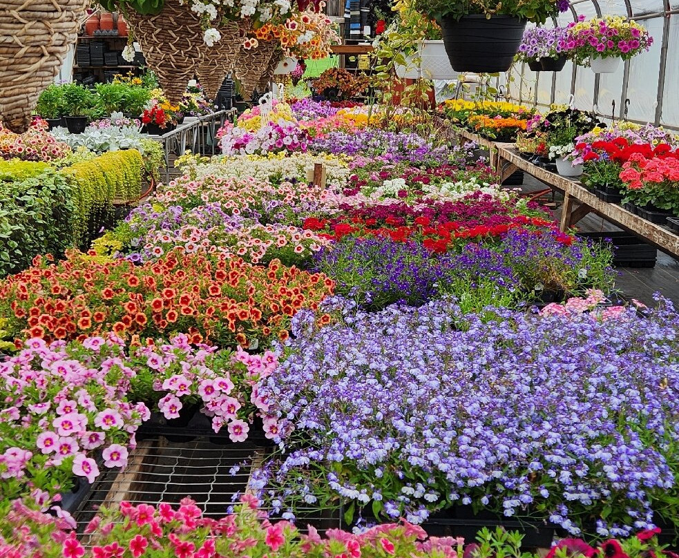 Home Style Flavours Country Market
