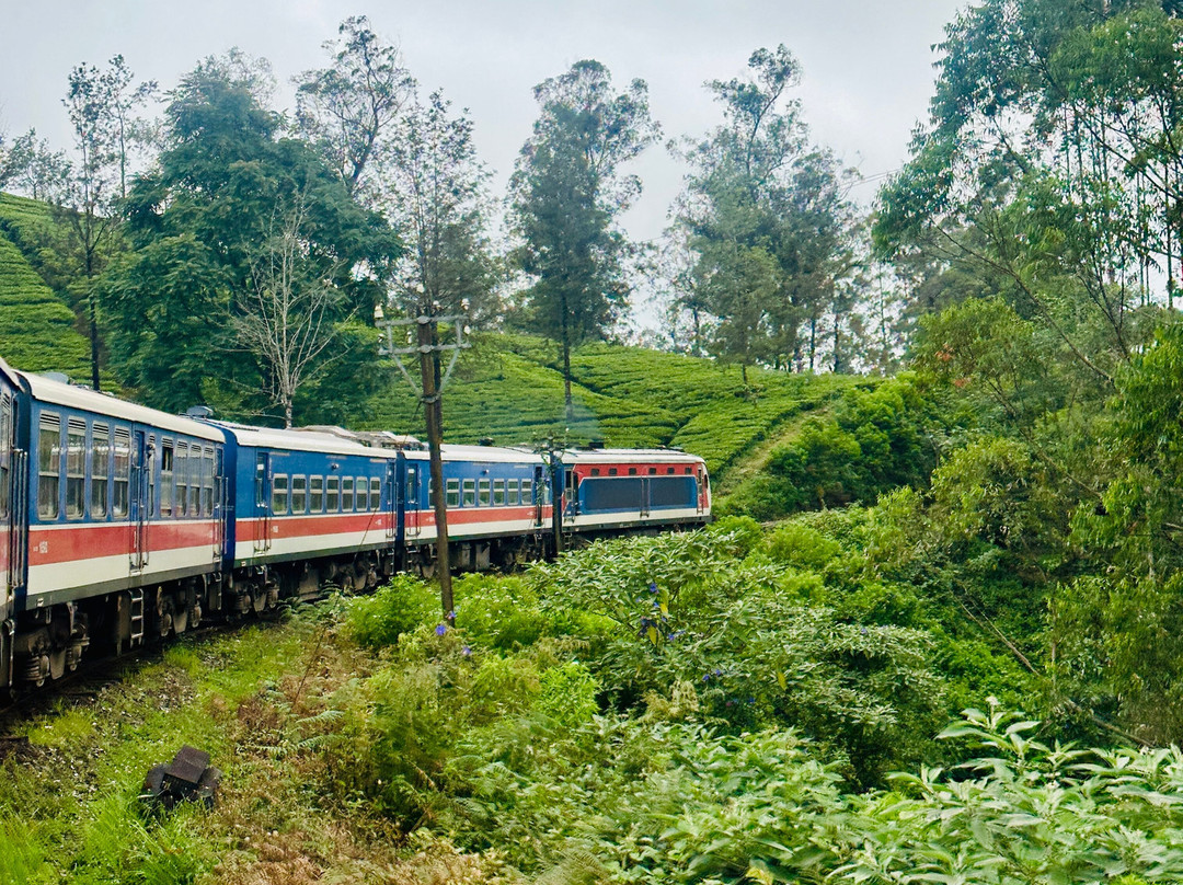 Sri Pathi Tours-Homagama必去景点