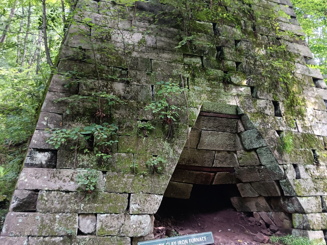 Coopers Rock State Forest-Bruceton Mills必去景点