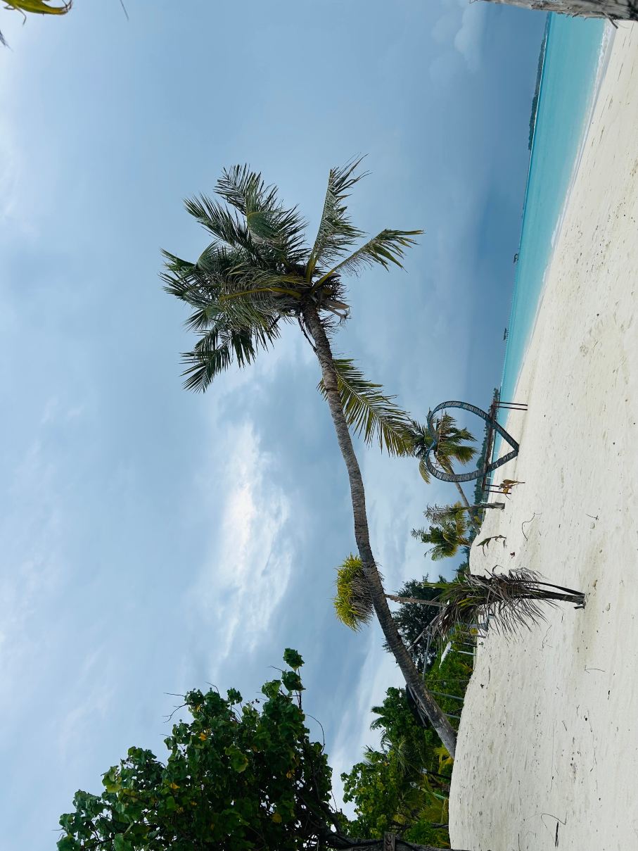 考马拉旅馆-旅行者
