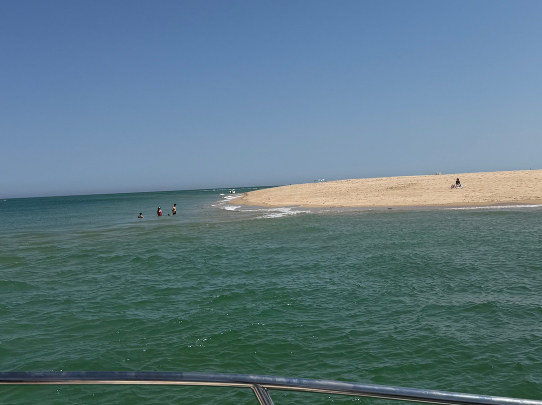 ODYSSEY - Ria Formosa Boat Tours-奥良必去景点