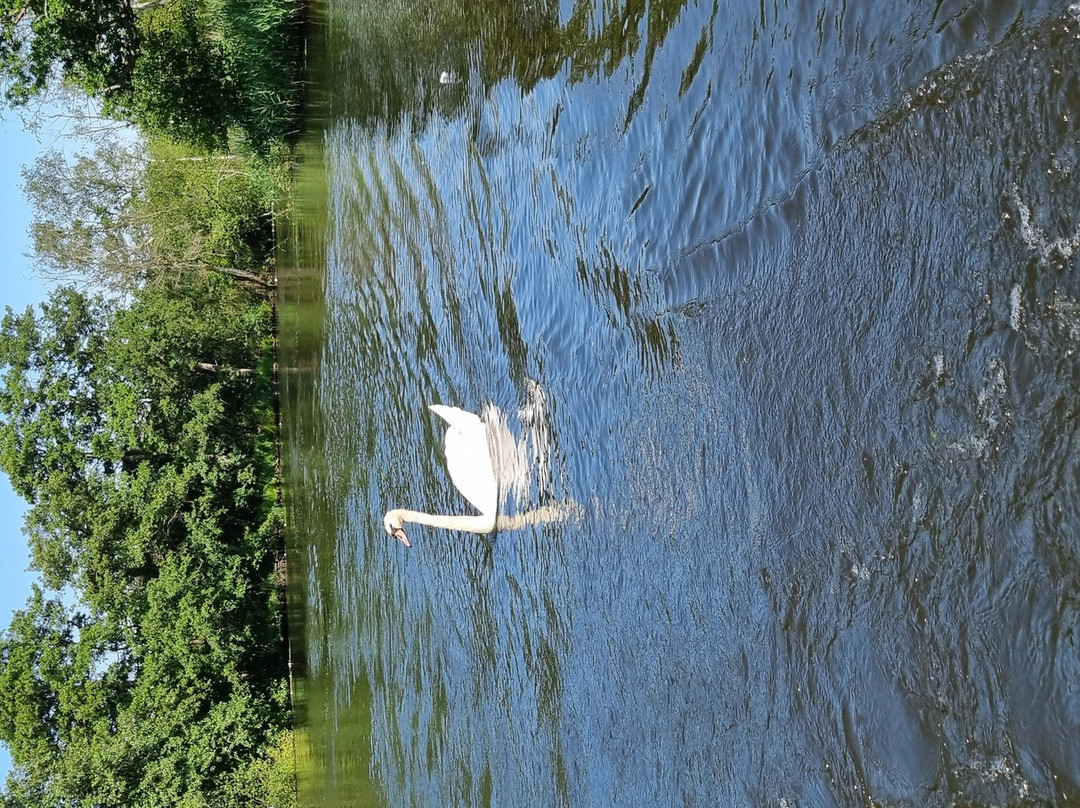 Richardsons Boating Holidays-Stalham必去景点