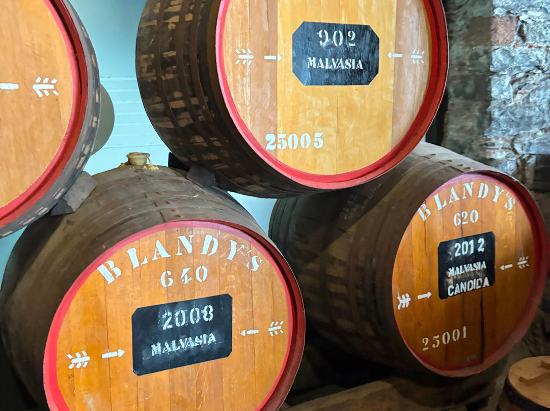 Blandy's Wine Lodge-沙尔必去景点